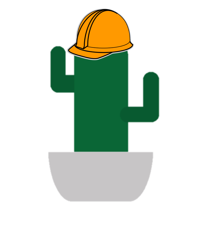 A cactus wearing a helmet